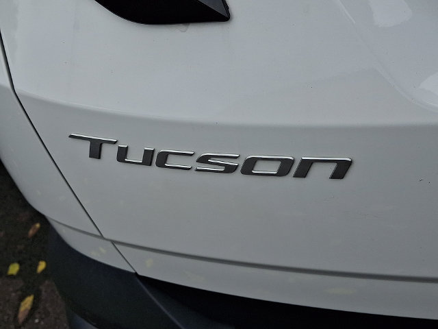 Used 2025 Hyundai Tucson Limited AWD/4WD image 5