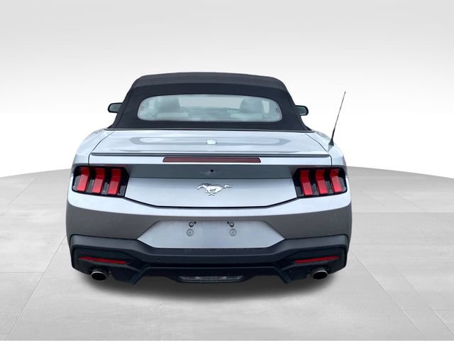 Used 2024 Ford Mustang Premium RWD image 5