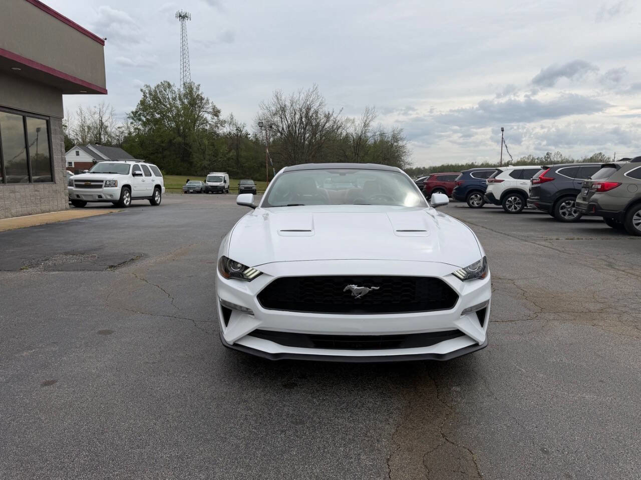 Used 2019 Ford Mustang Coupe w/ Equipment Group 101A RWD image 3