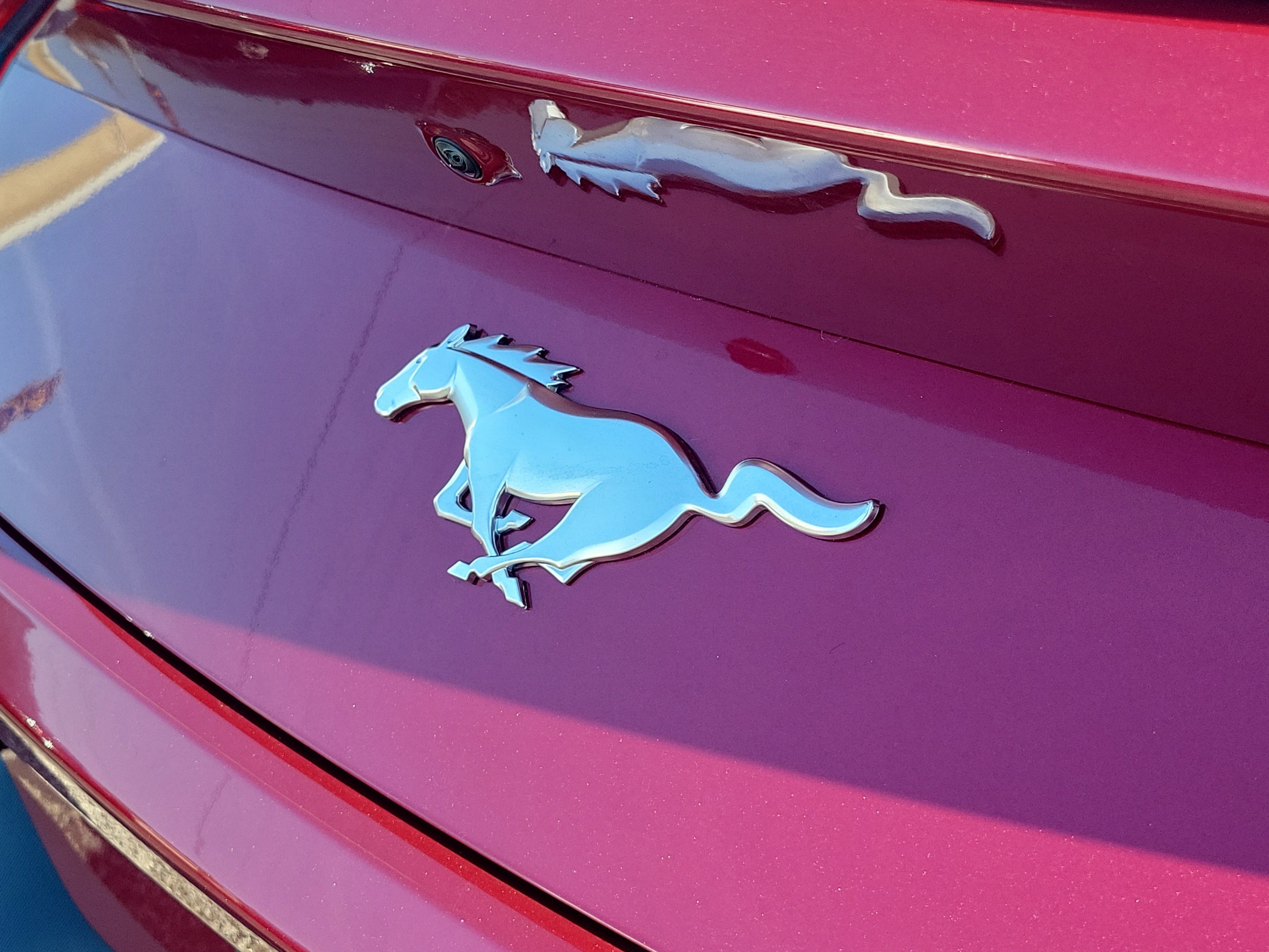 Used 2025 Ford Mustang Premium RWD image 8