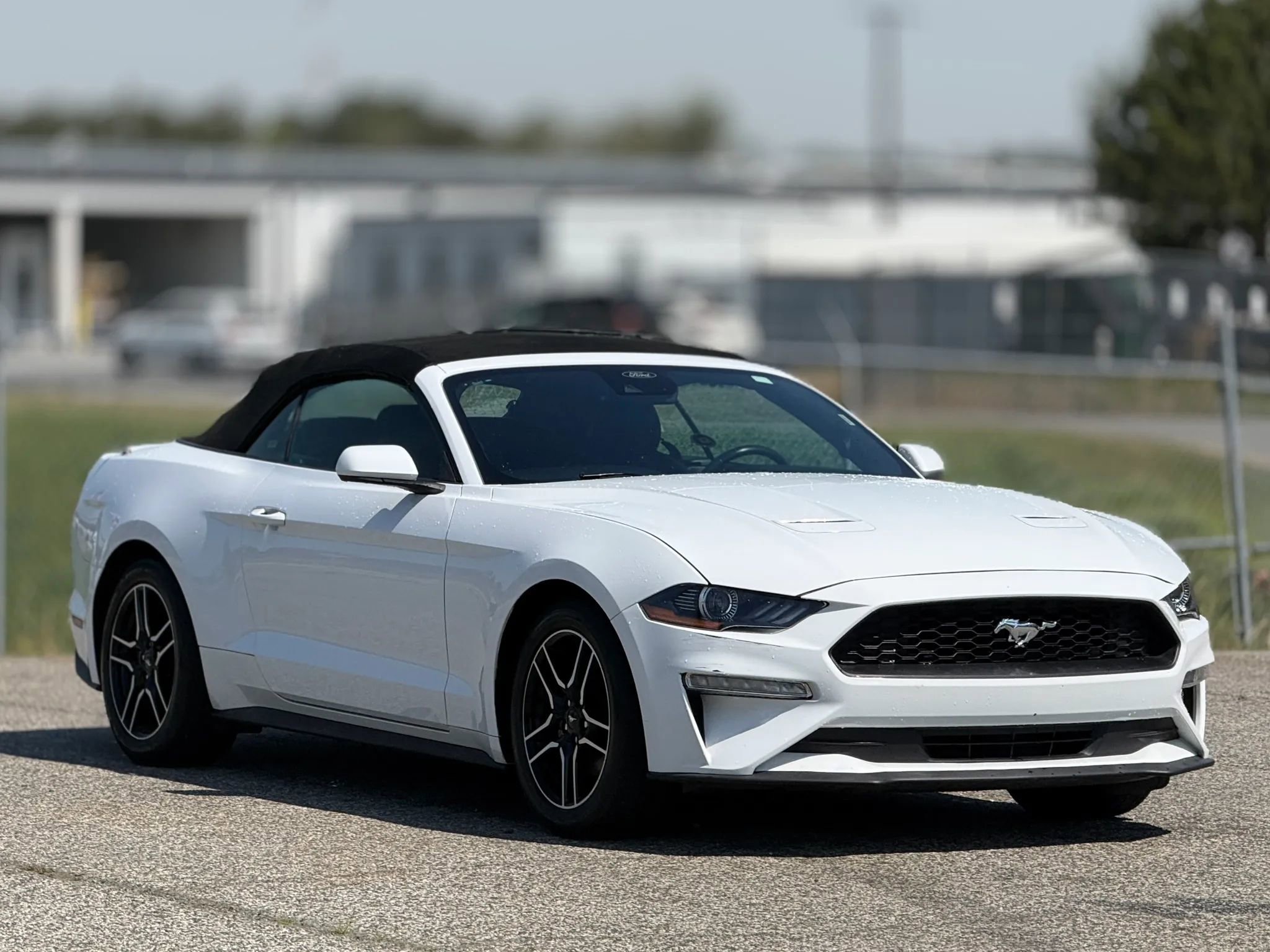 Used 2023 Ford Mustang Premium RWD image 1