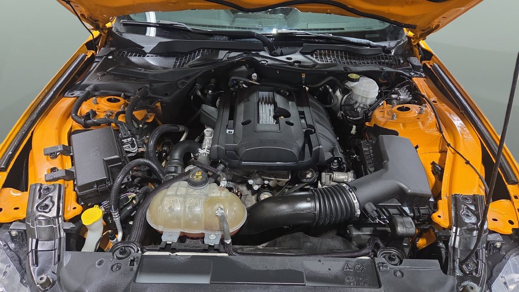 Used 2018 Ford Mustang Coupe RWD image 20
