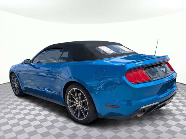 Used 2019 Ford Mustang Premium w/ Equipment Group 201A RWD image 5