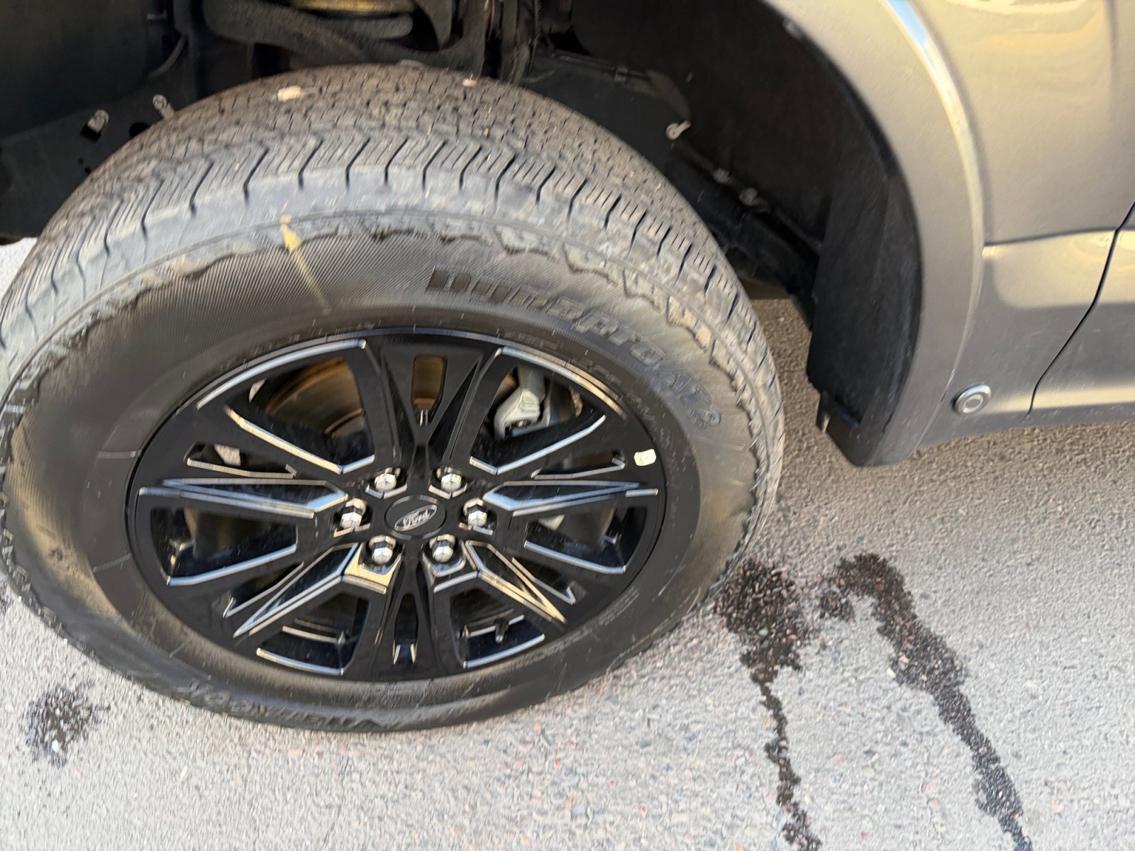Used 2019 Ford F150 Platinum w/ Equipment Group 701A Luxury AWD/4WD image 11