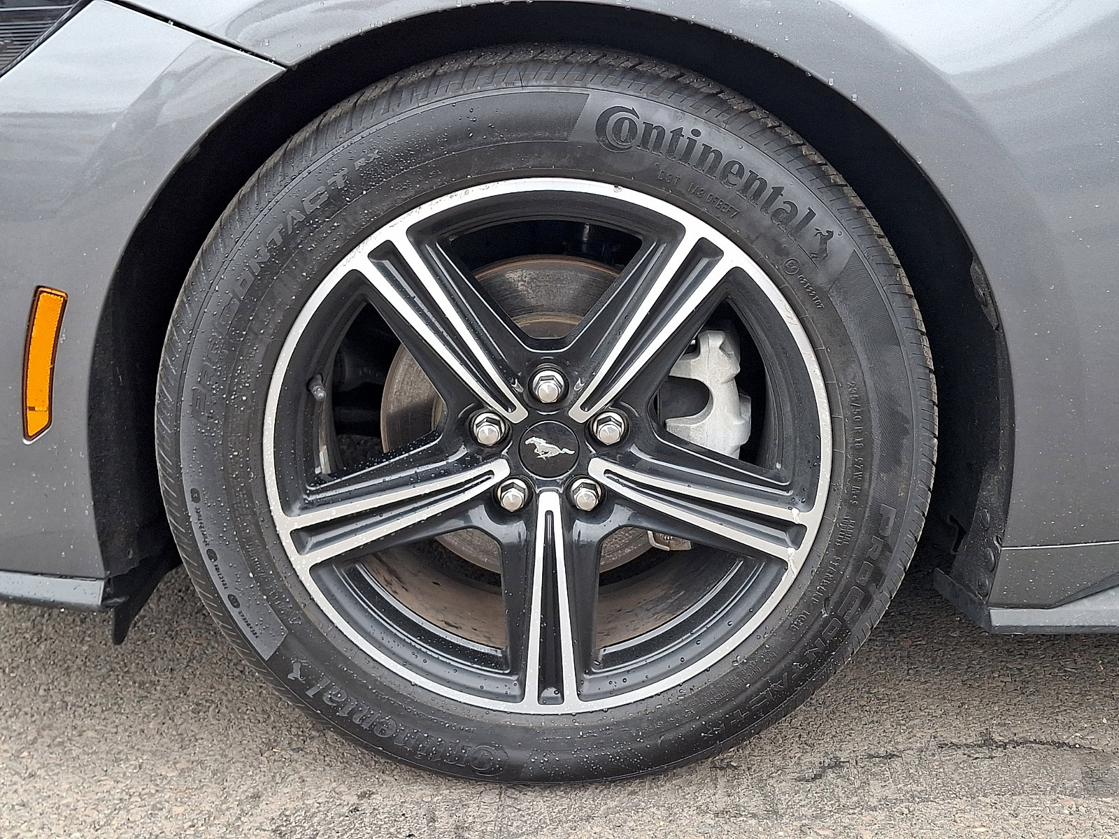 Used 2024 Ford Mustang EcoBoost Fastback image 10