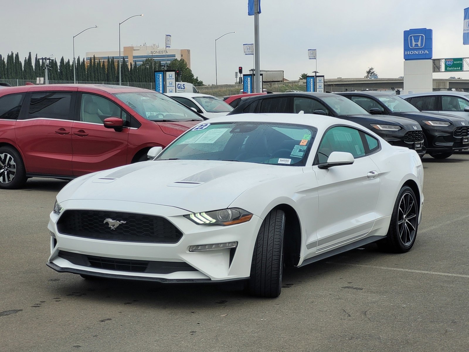 Used 2022 Ford Mustang Premium w/ Wheel & Stripe Package image 9