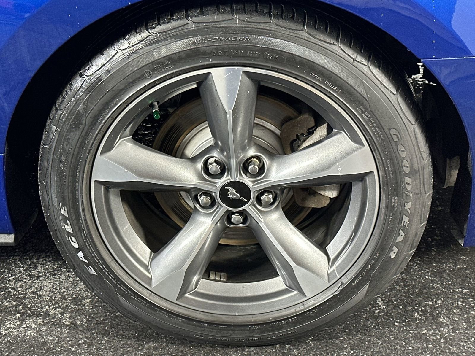 Used 2017 Ford Mustang EcoBoost image 14