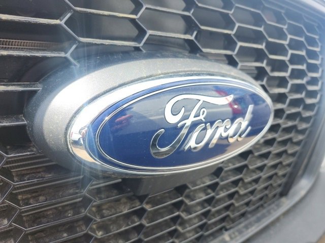 New 2025 Ford Transit 250 148 Medium Roof w/ Load Area Protection Package image 7