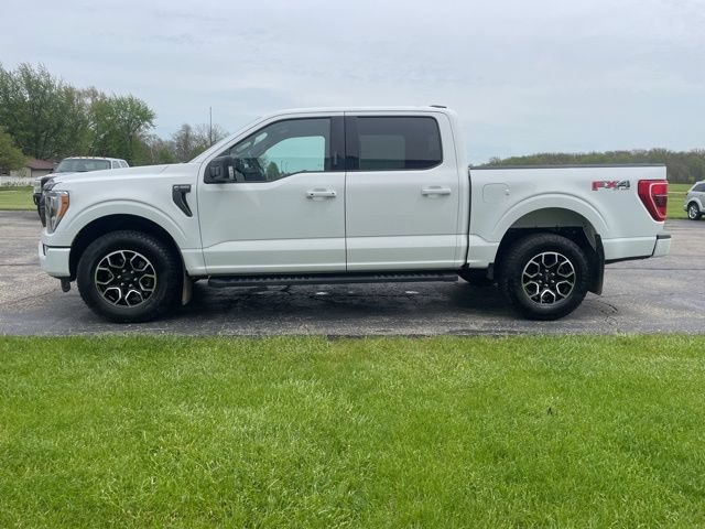 Used 2023 Ford F150 XLT w/ Equipment Group 302A High AWD/4WD image 9