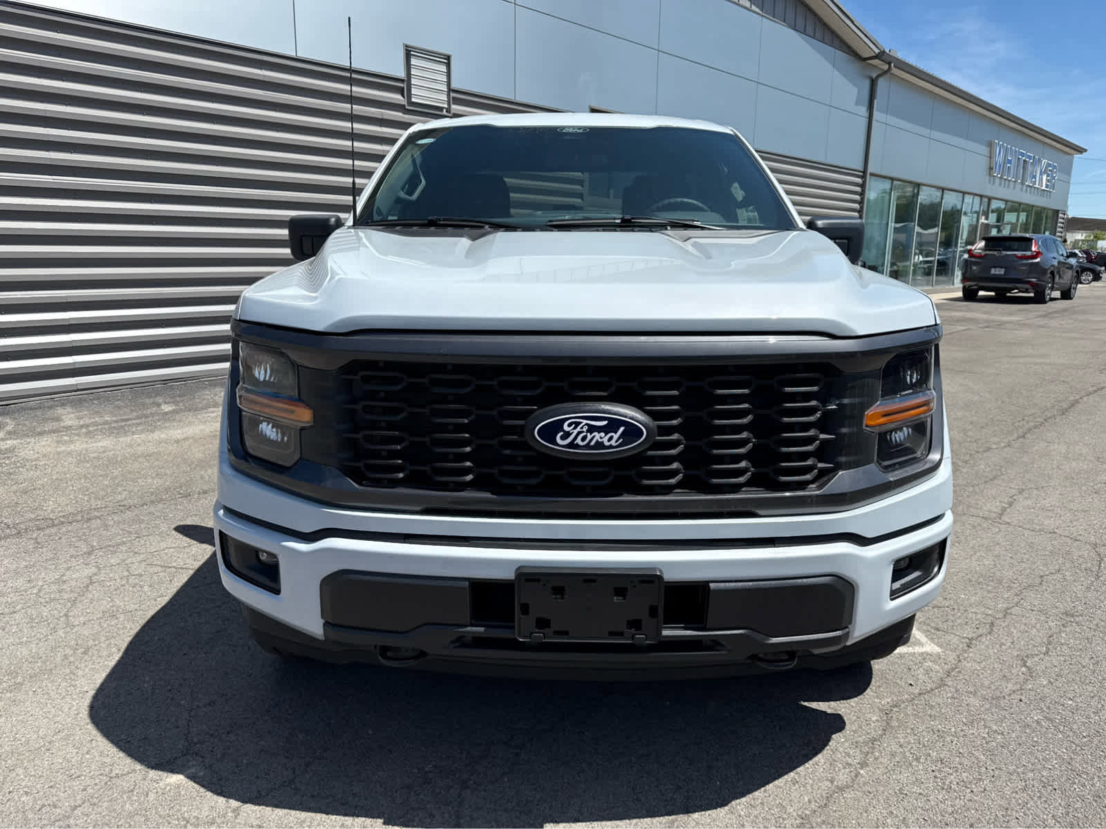 New 2025 Ford F150 STX w/ Equipment Group 200A image 3