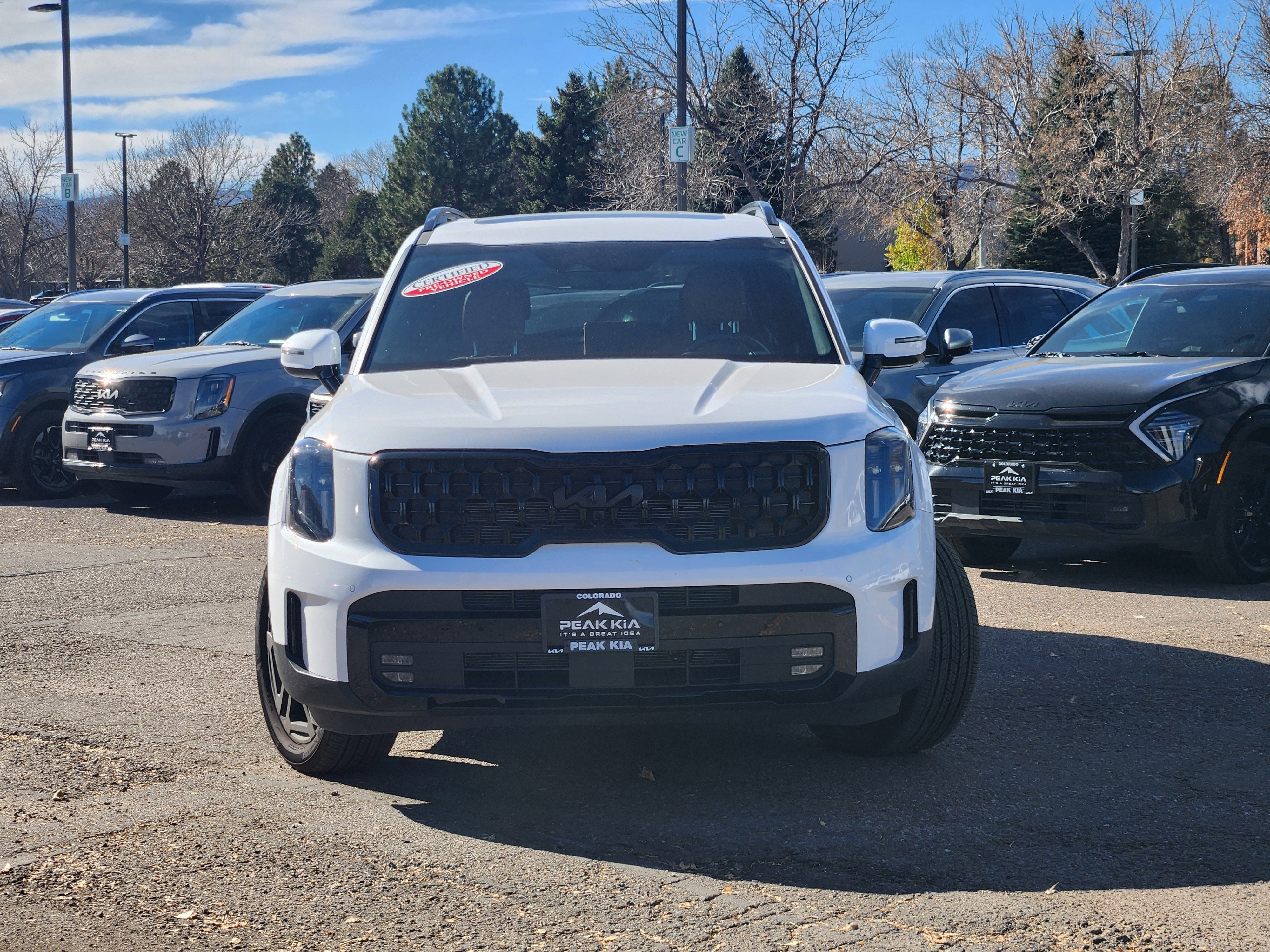 Used 2025 Kia Telluride SX Prestige X-Line image 5