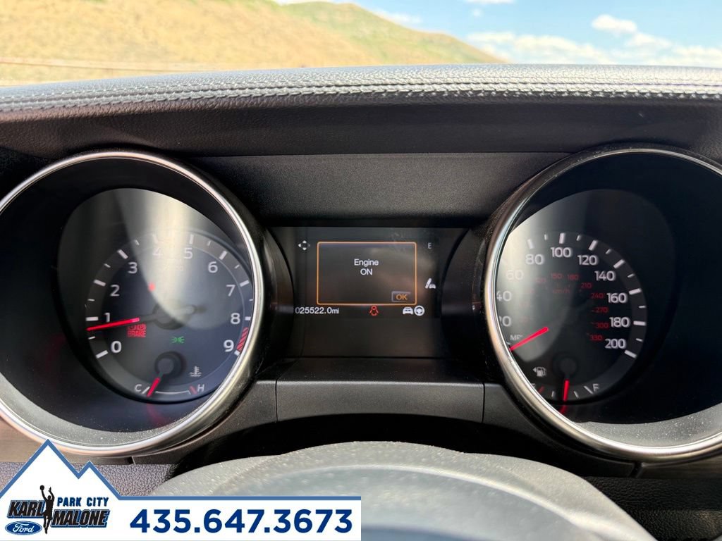 Used 2017 Ford Mustang Shelby GT350 RWD image 19