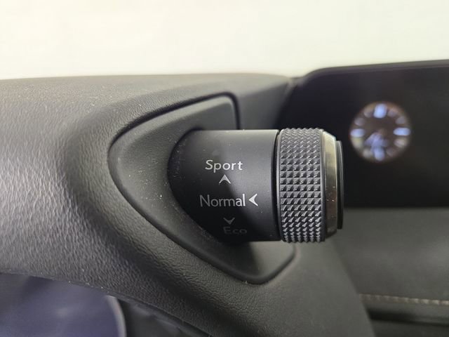 Used 2020 Lexus UX 250h w/ Premium Package image 24