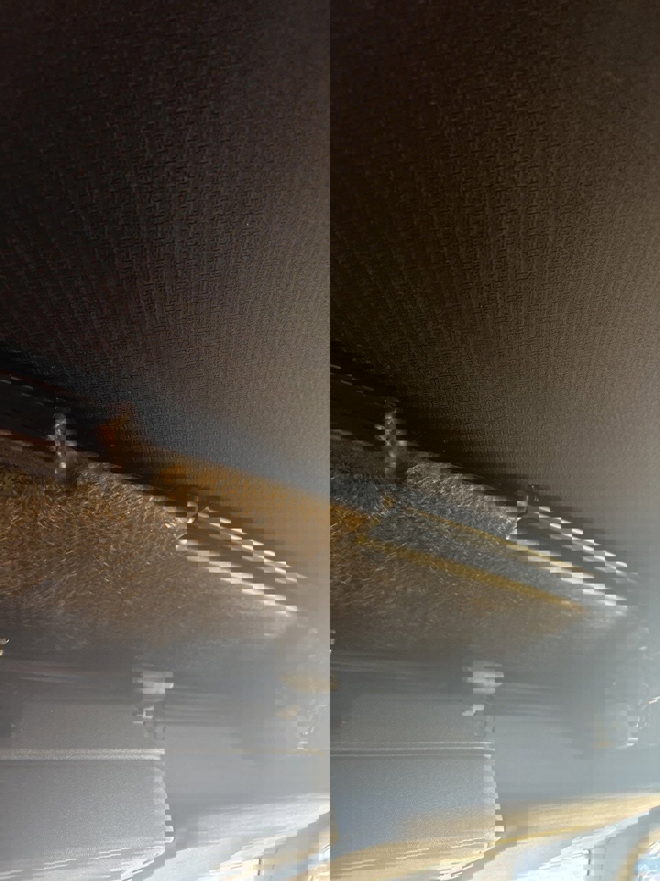 Used 2022 Ford Bronco Wildtrak image 9