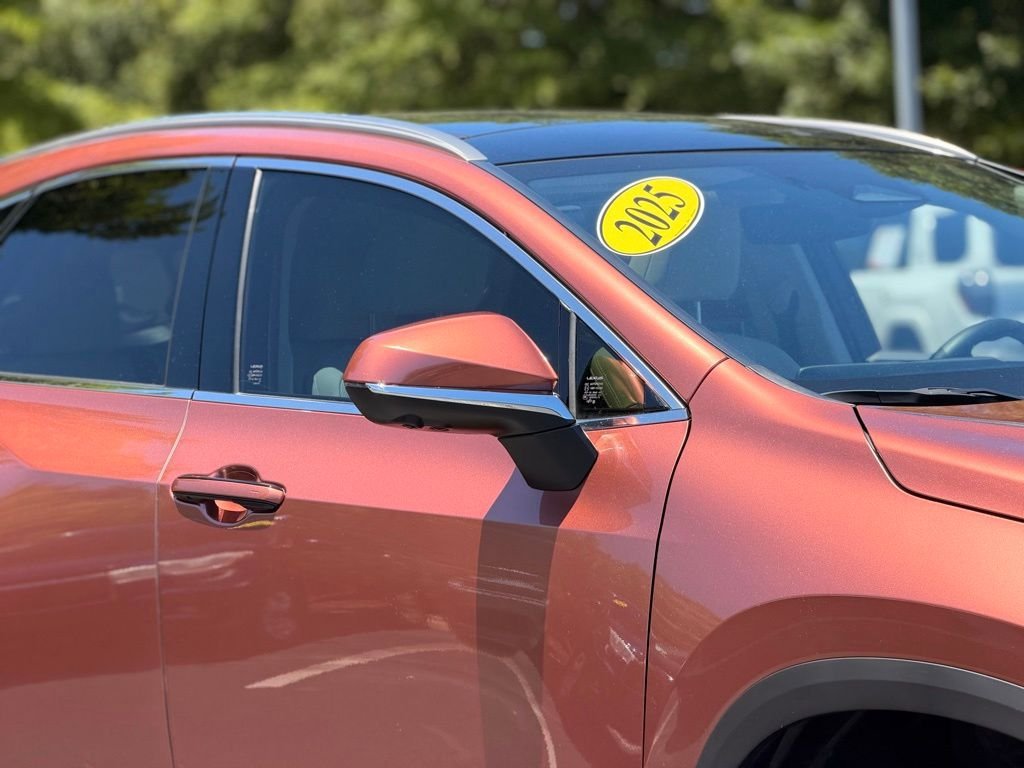 Used 2025 Lexus NX 350h AWD w/ Cold Area Package image 7