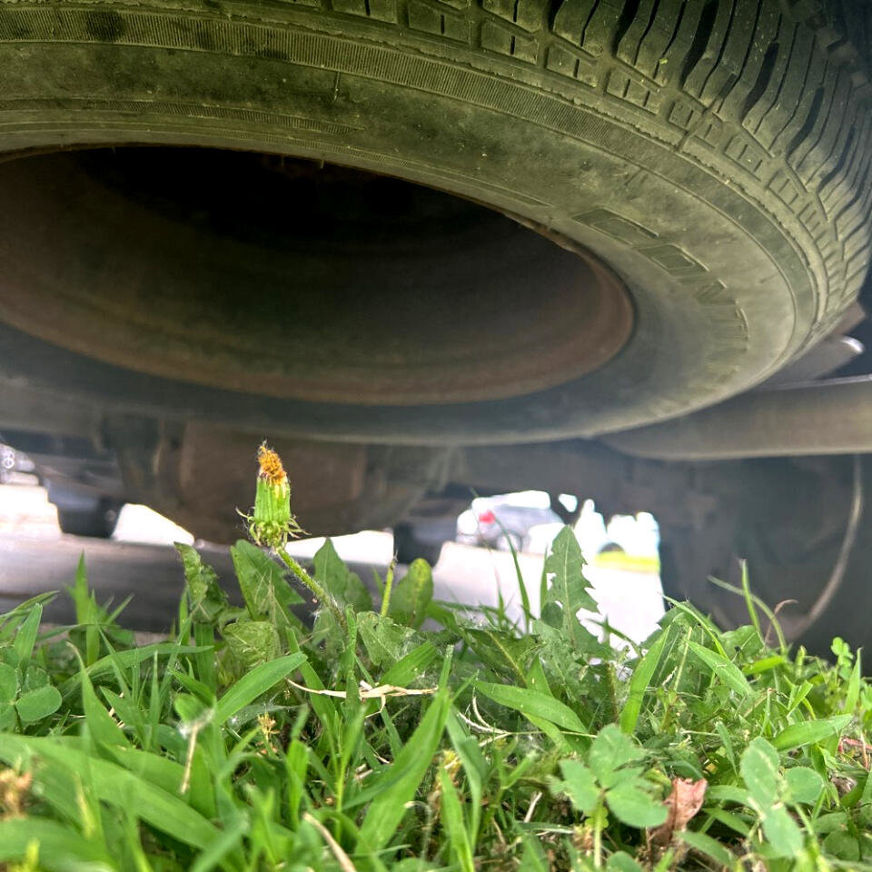 Used 2005 Ford F150 XLT image 14