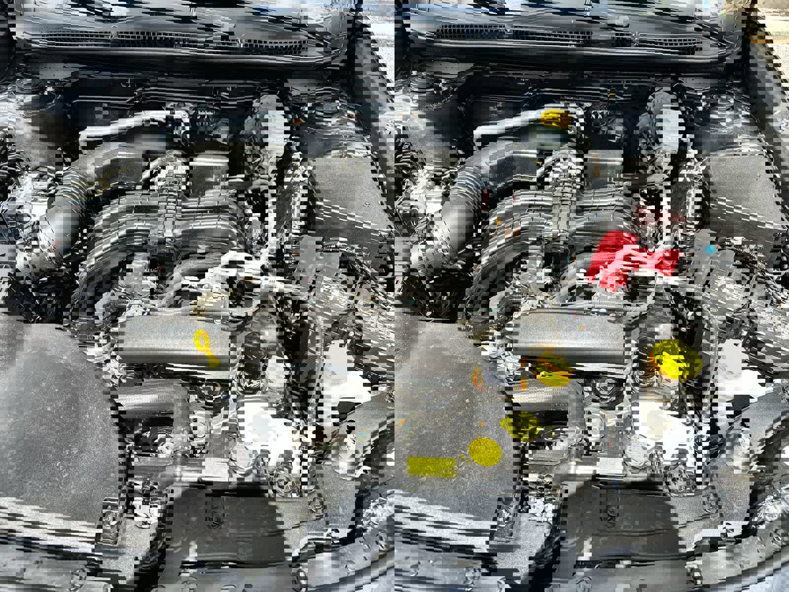 Used 2025 Subaru Outback Limited image 13