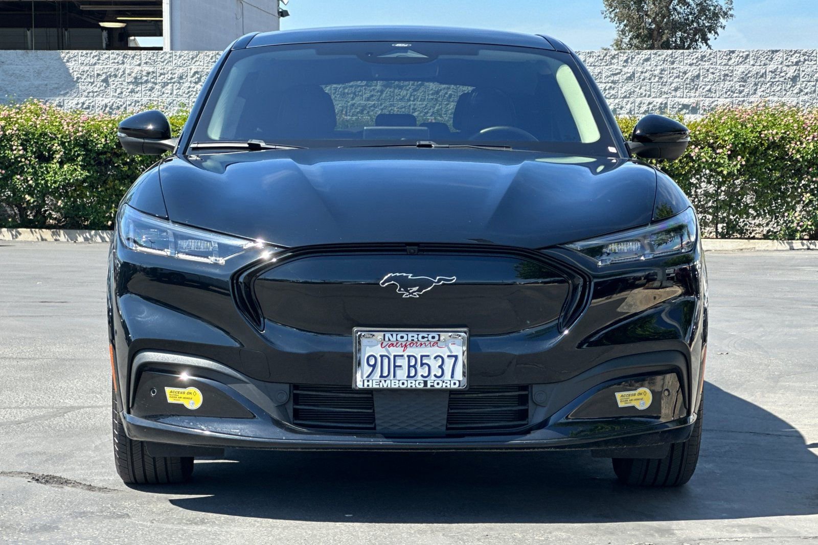 Used 2022 Ford Mustang Mach-E Premium image 9