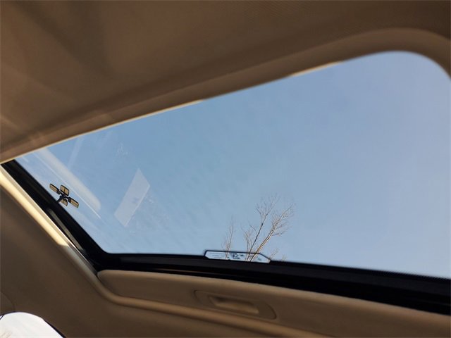 Used 2020 Ford EcoSport SE w/ SE Convenience Package image 8