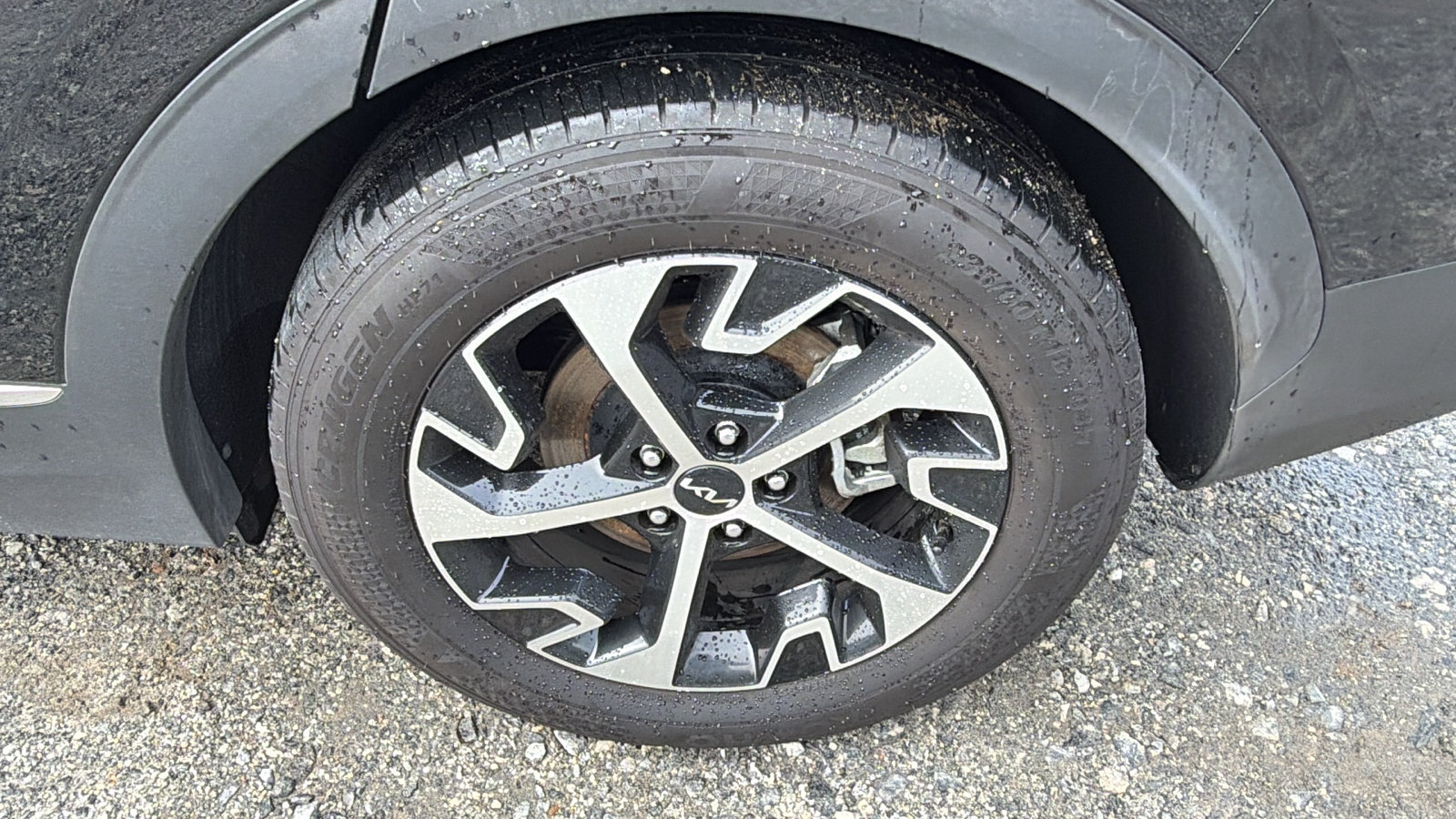 Used 2025 Kia Sportage EX w/ Premium Package FWD image 12