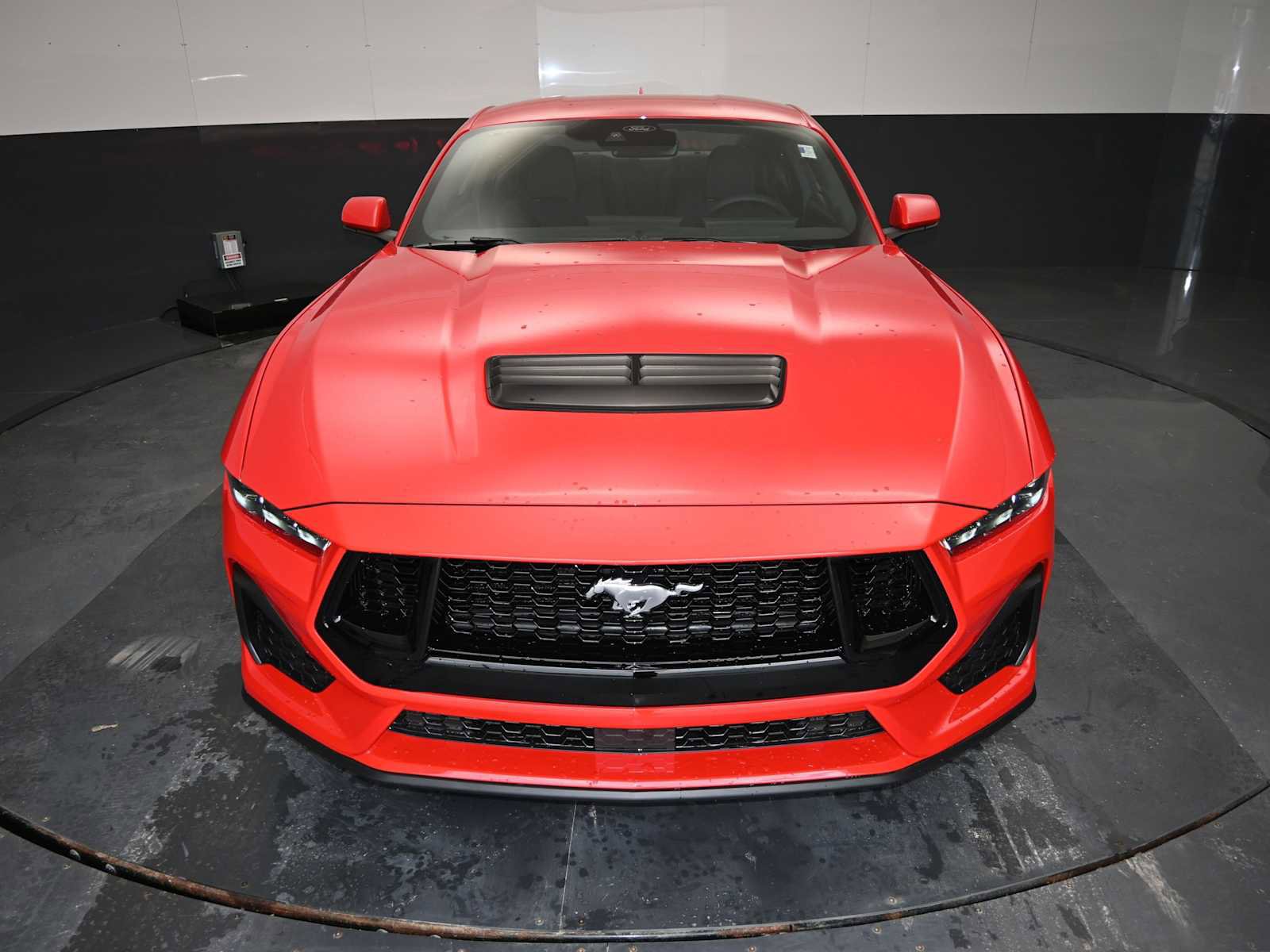 New 2025 Ford Mustang GT image 20