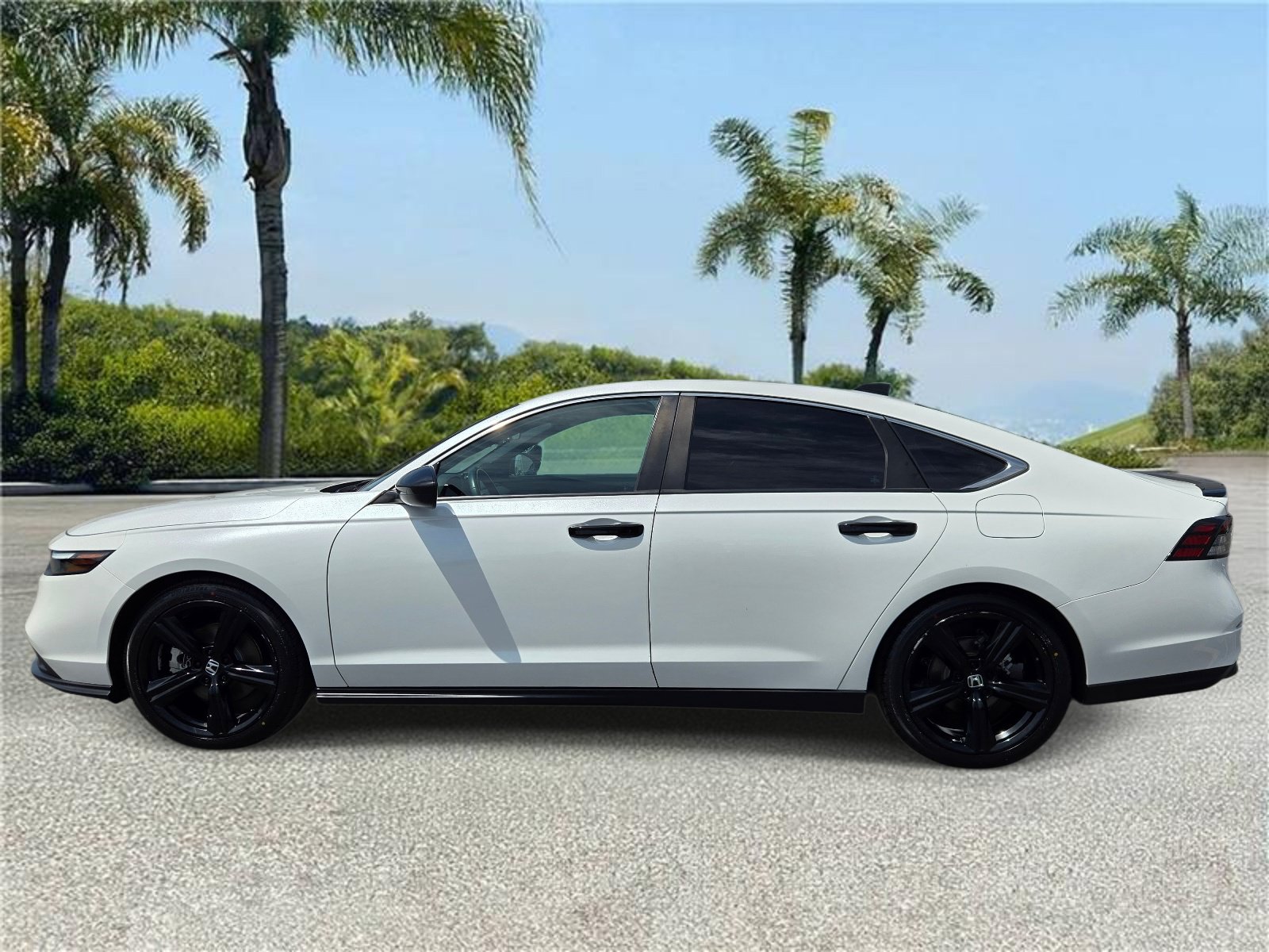Used 2024 Honda Accord Sport image 2