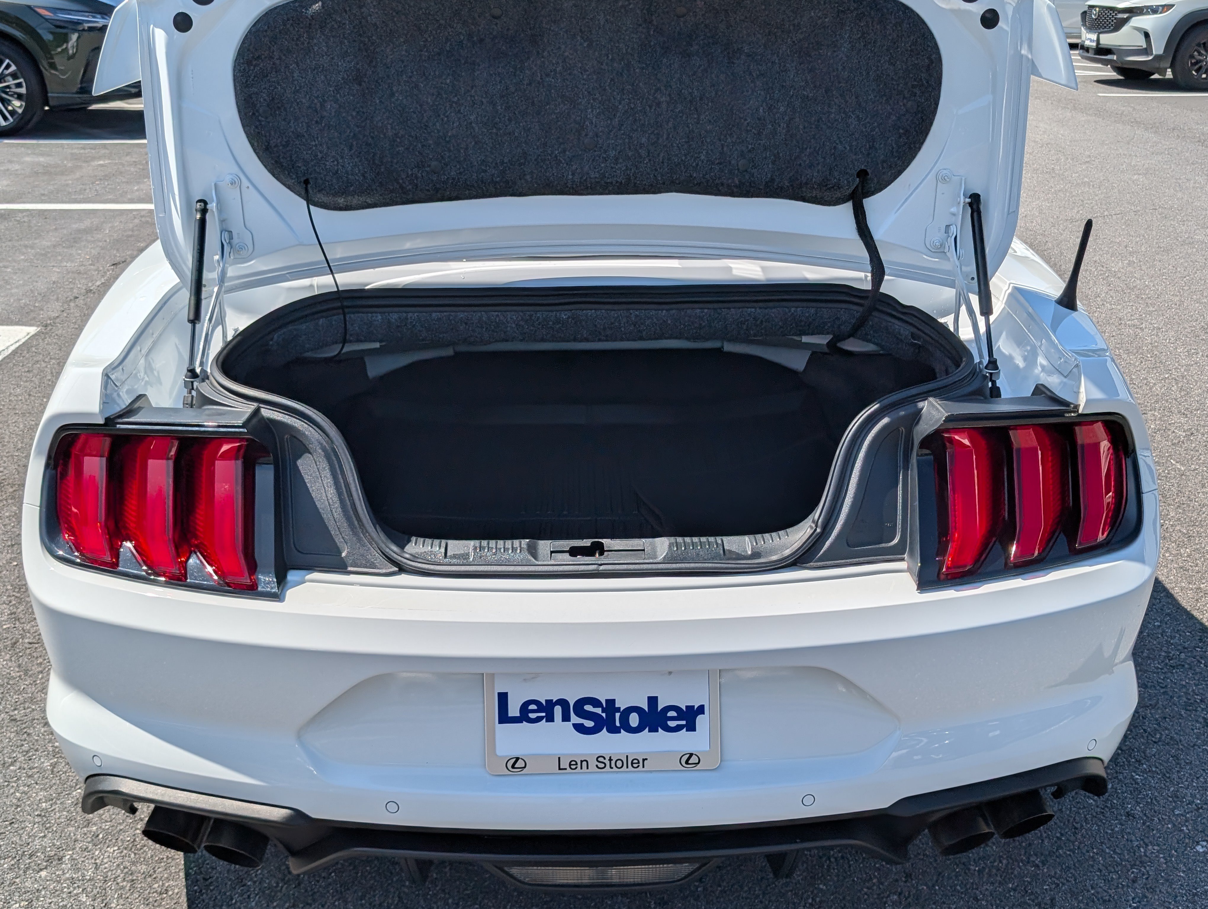 Used 2019 Ford Mustang GT Premium w/ Equipment Group 401A RWD image 14