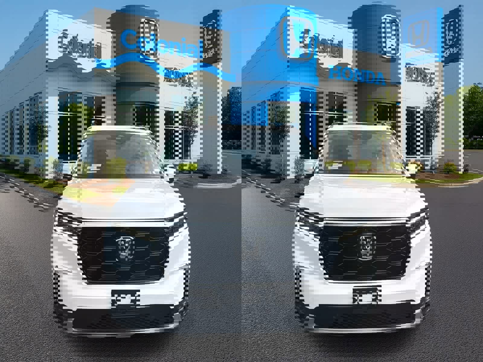 Used 2025 Honda Pilot Elite image 9