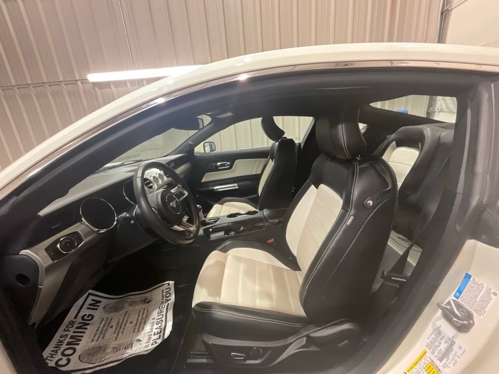 Used 2015 Ford Mustang 50 Years RWD image 9