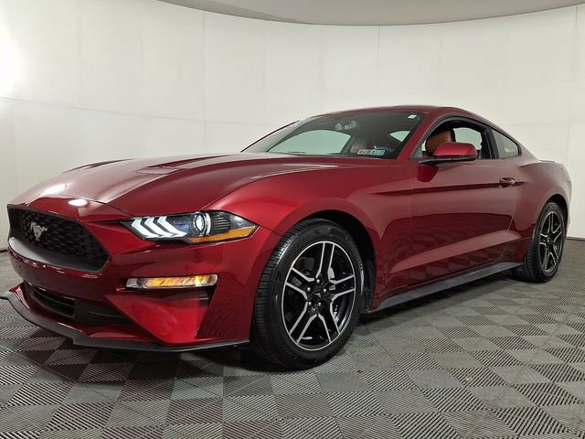 Used 2018 Ford Mustang Premium image 6