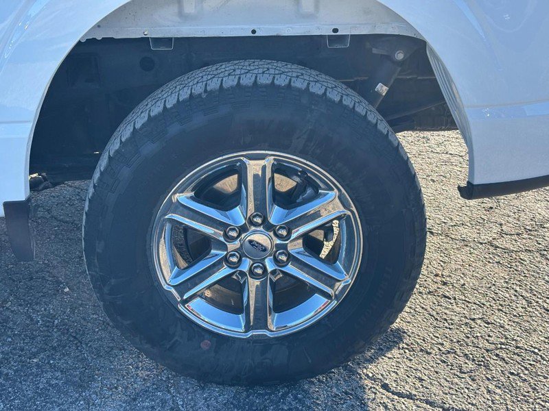 Used 2025 Ford F150 XLT w/ Equipment Group 301A Standard AWD/4WD image 11