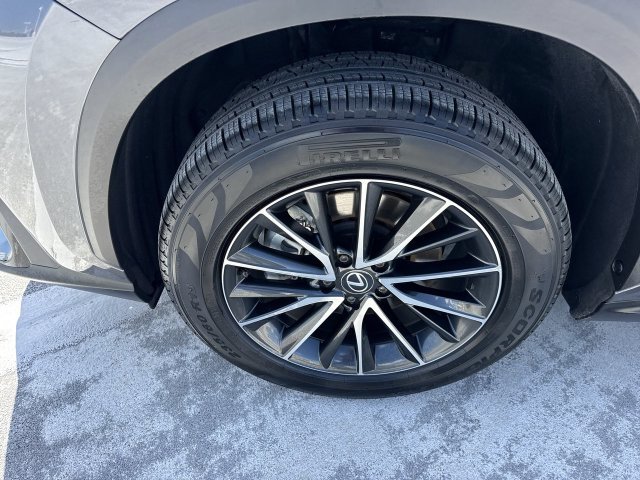 Certified 2024 Lexus NX 250 FWD w/ Cold Area Package image 10