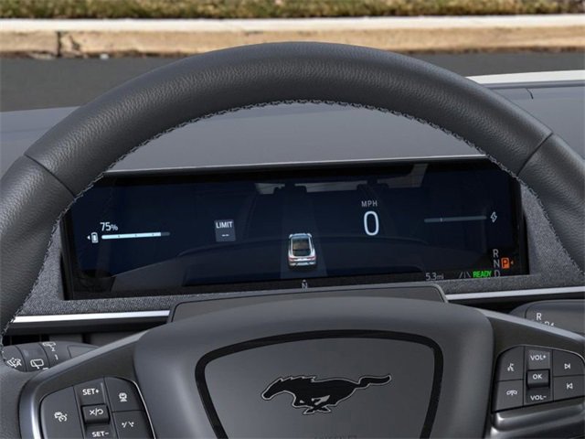 New 2025 Ford Mustang Mach-E GT image 13