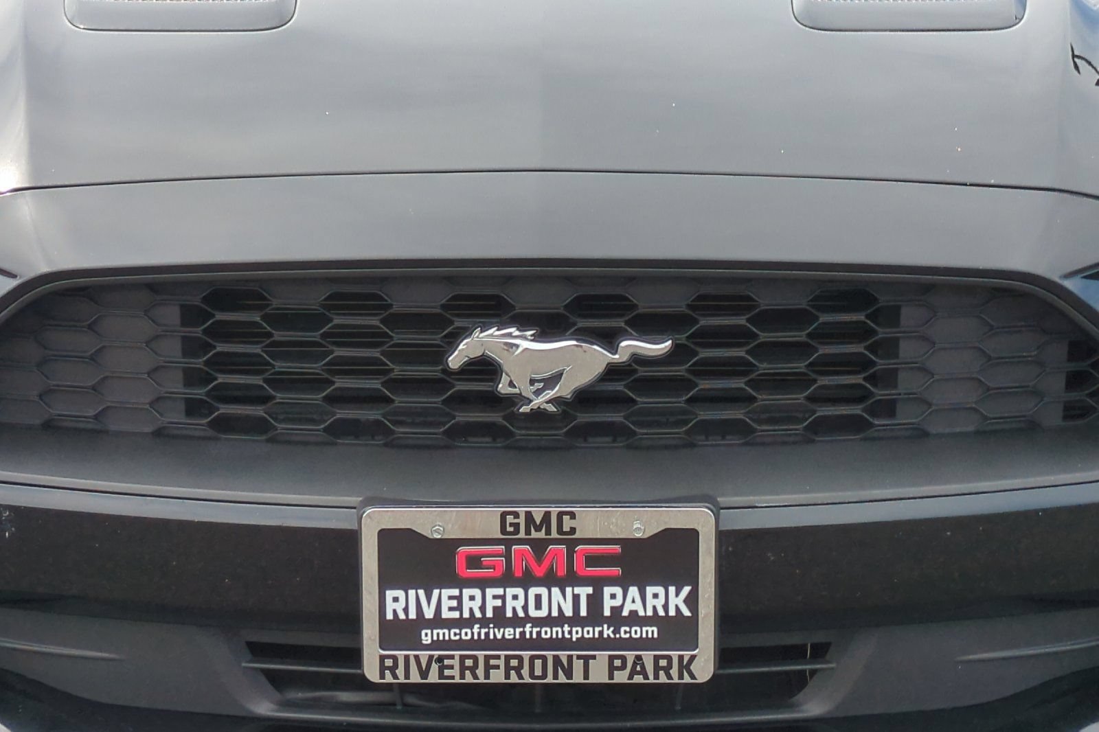 Used 2019 Ford Mustang Premium w/ Equipment Group 201A RWD image 47