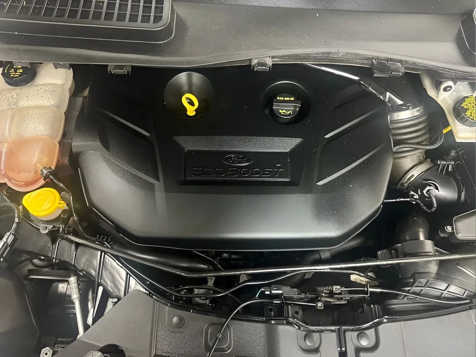 Used 2016 Ford Escape SE w/ Equipment Group 201A FWD image 15