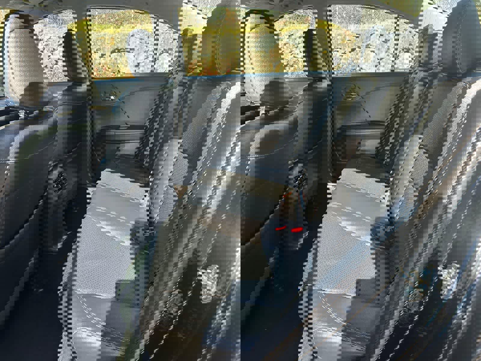 Used 2016 Honda Accord EX-L image 10