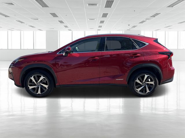 Used 2021 Lexus NX 300h AWD w/ Premium Package image 7