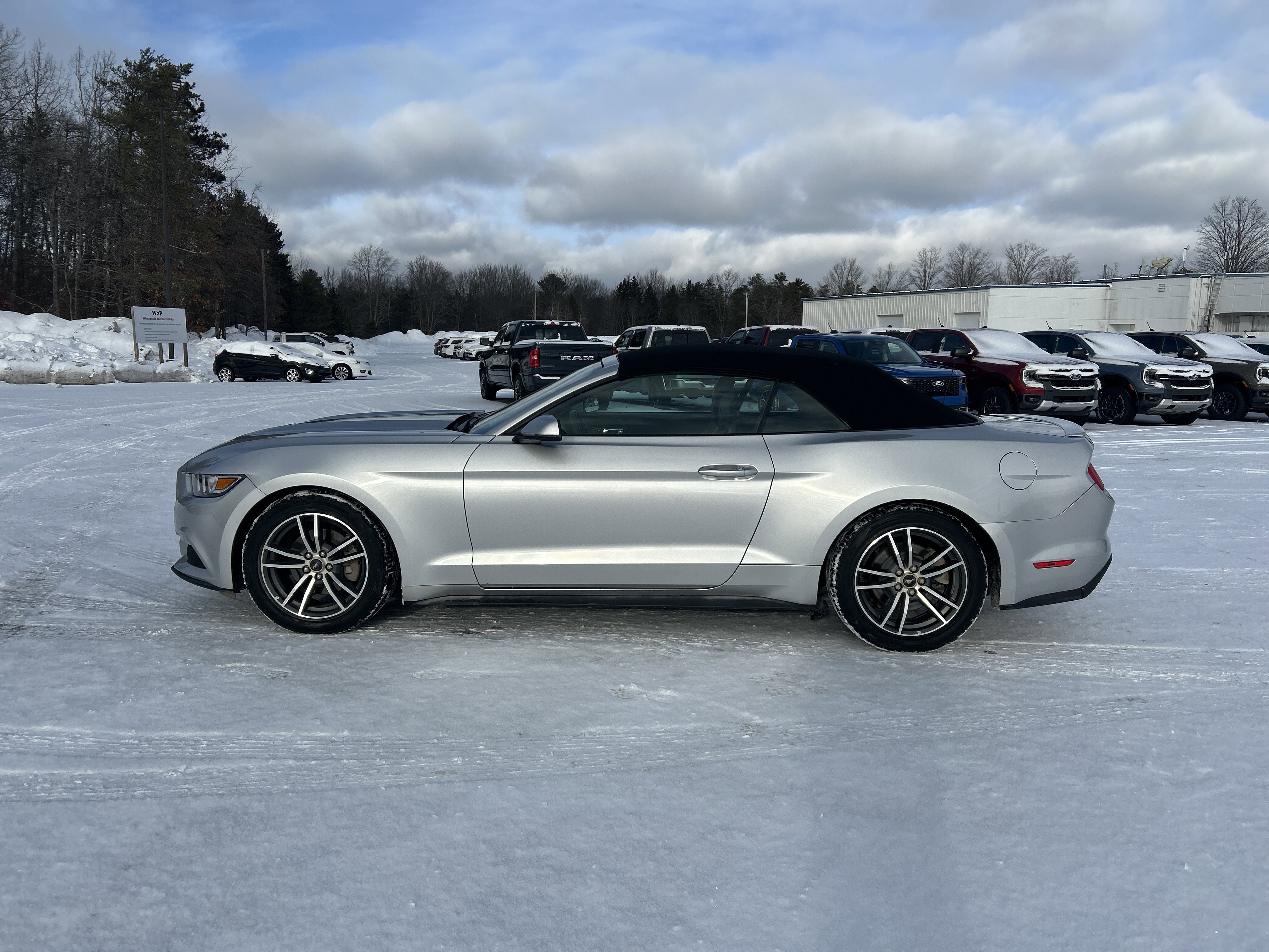 Used 2017 Ford Mustang Premium image 6