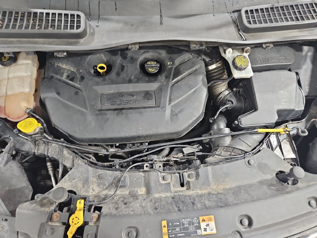 Used 2016 Ford Escape SE w/ Equipment Group 201A AWD/4WD image 21