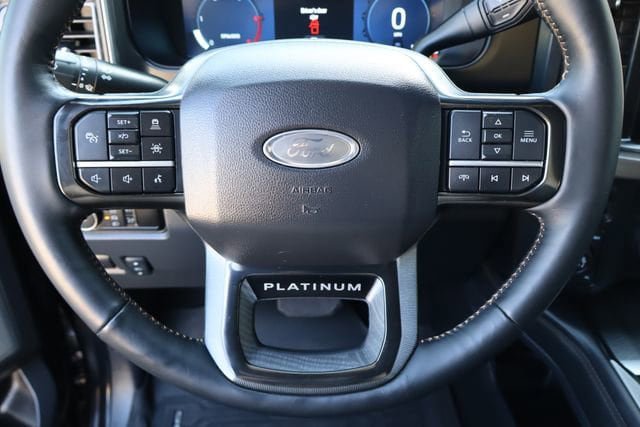 Used 2024 Ford F250 Platinum w/ Tremor Off-Road Package AWD/4WD image 11