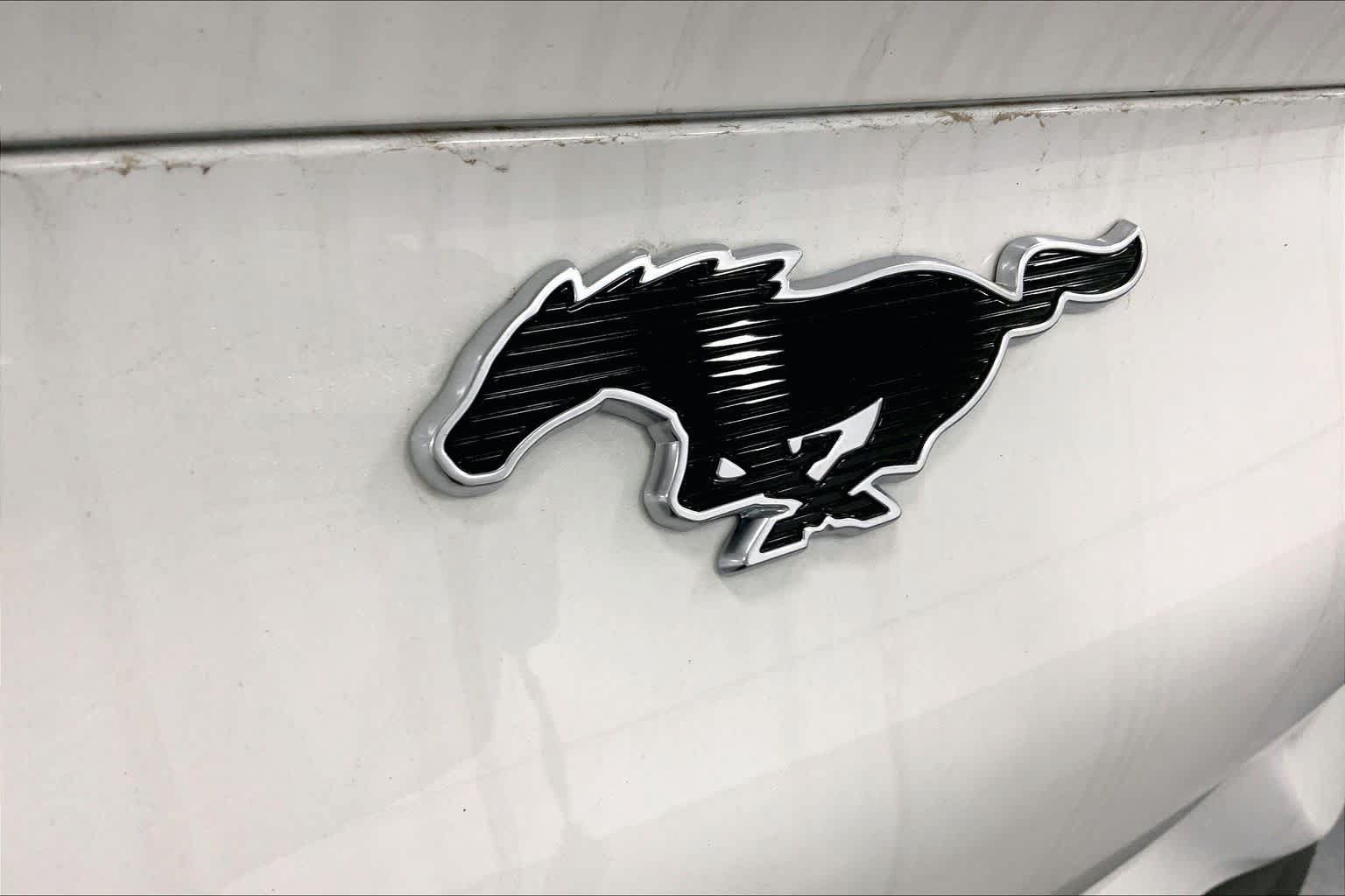 New 2026 Ford Mustang Mach-E Select w/ Comfort Package Lite RWD image 12