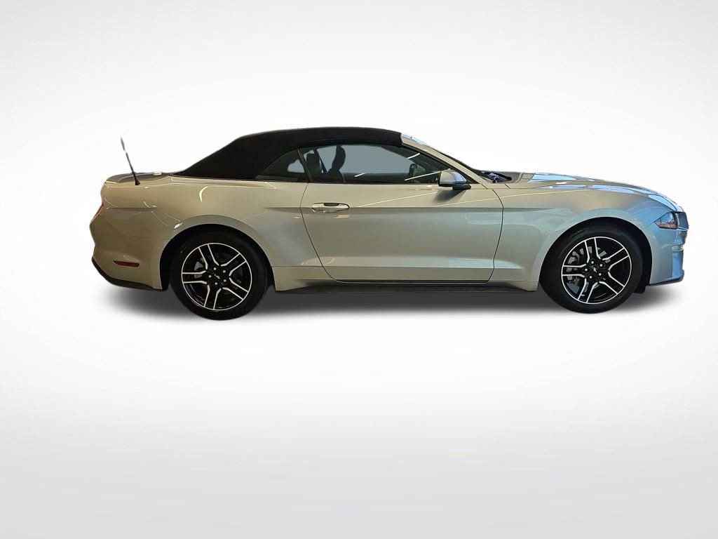 Used 2023 Ford Mustang Premium image 7