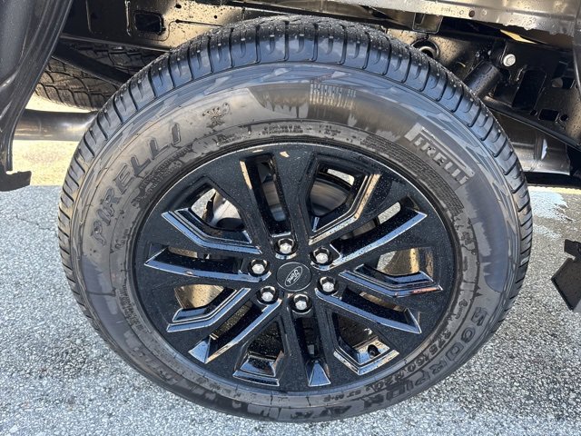 New 2026 Ford F150 XLT w/ Equipment Group 302A MID image 20