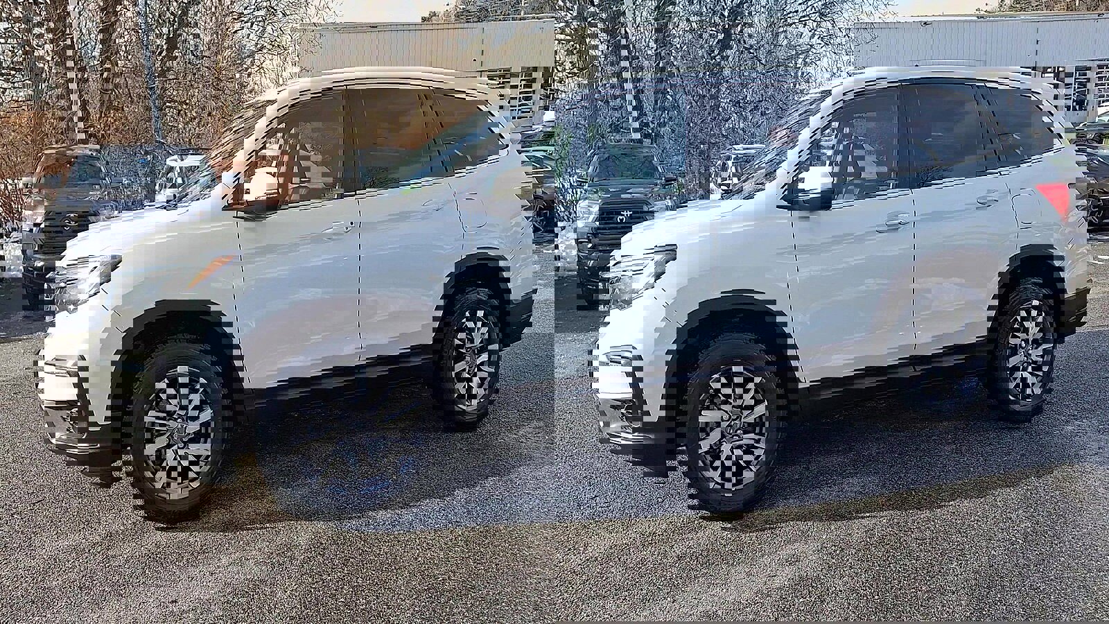 Used 2021 Honda Pilot EX-L image 5