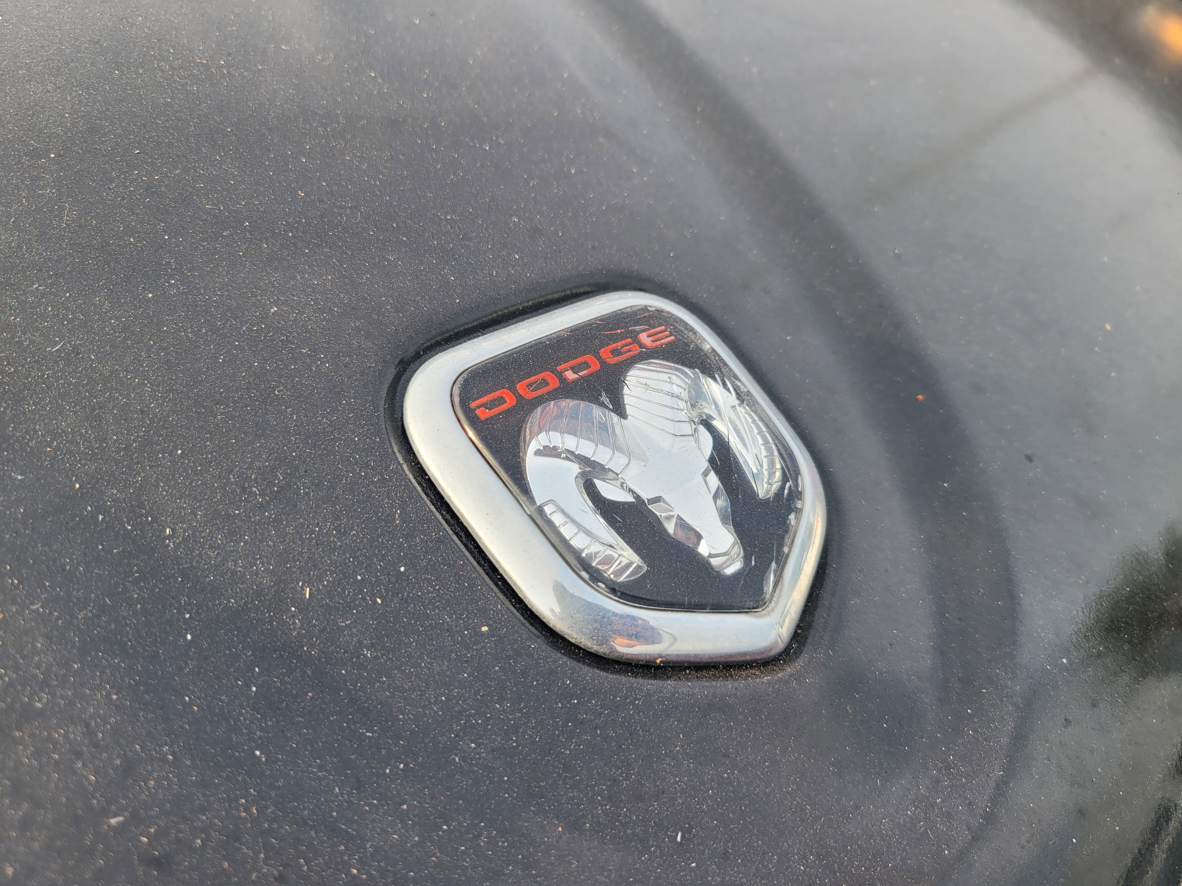Used 2001 Dodge Dakota Sport RWD image 3