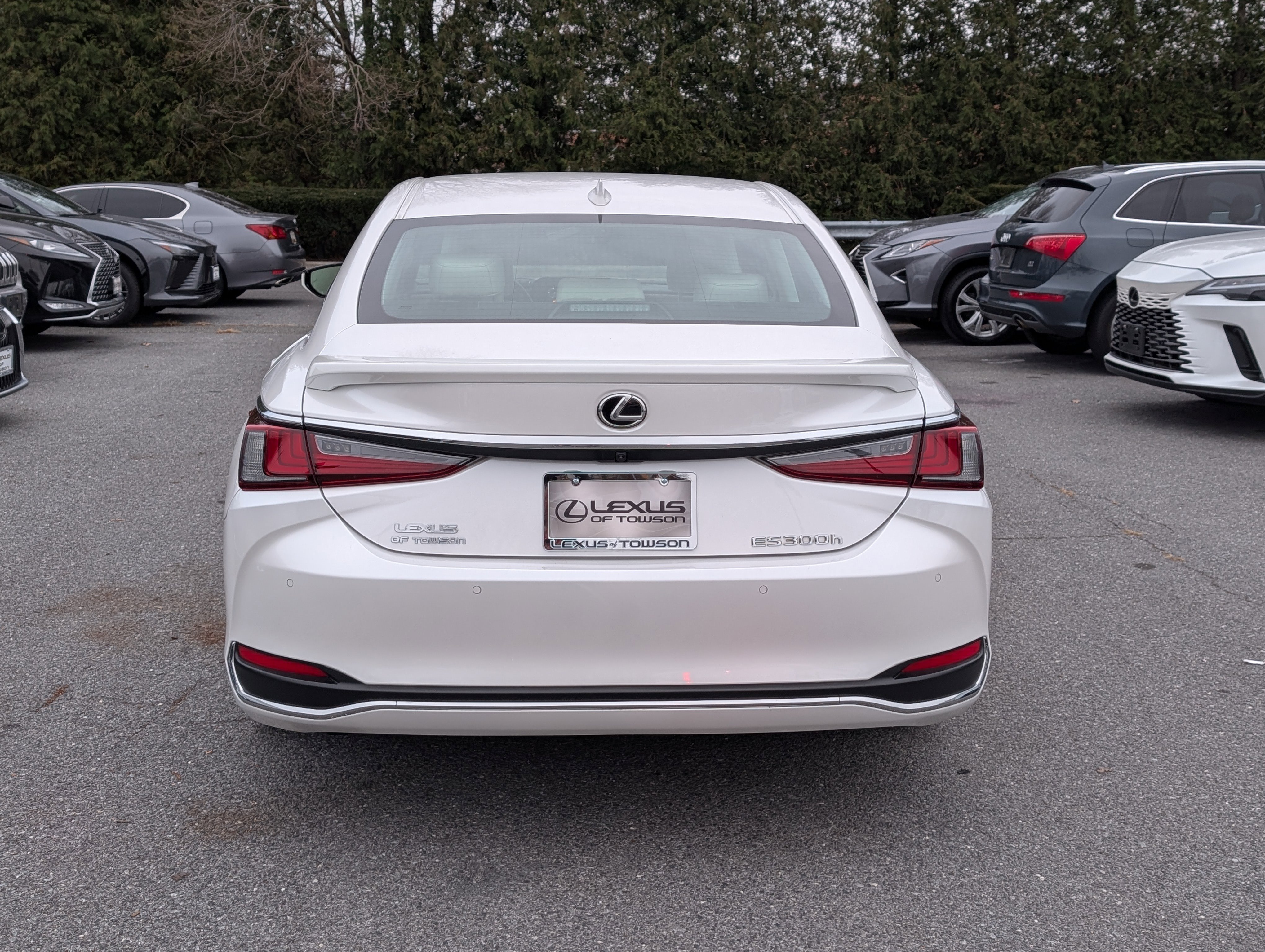 Certified 2025 Lexus ES 300h w/ Premium Package image 4