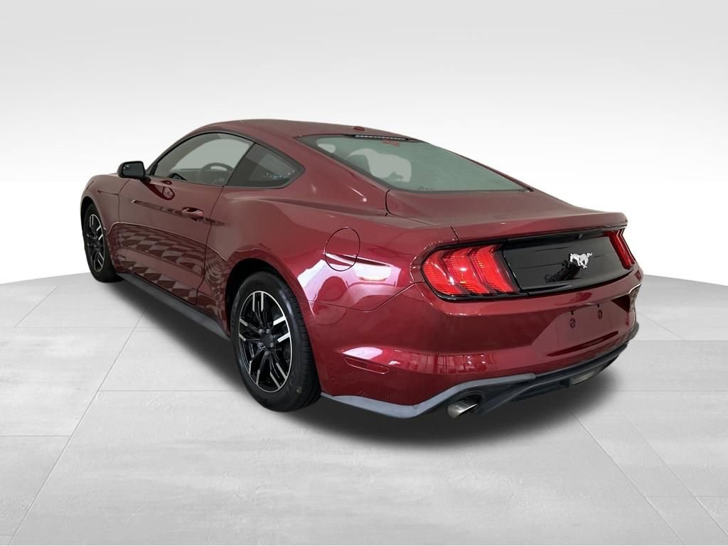 Used 2019 Ford Mustang EcoBoost image 3