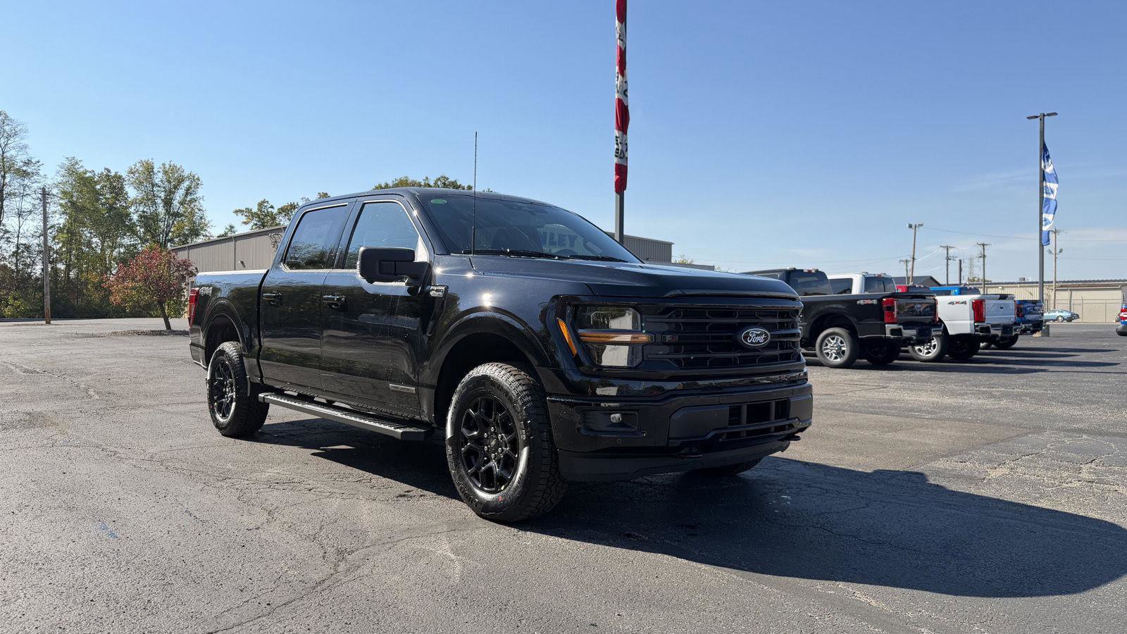 New 2025 Ford F150 XLT image 2