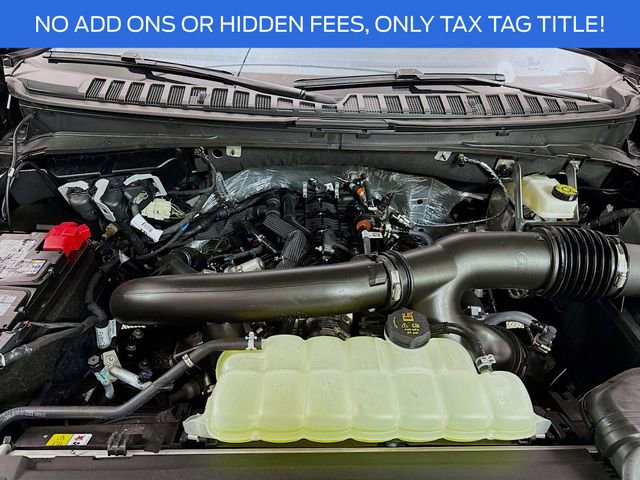 New 2025 Ford Expedition Active image 29