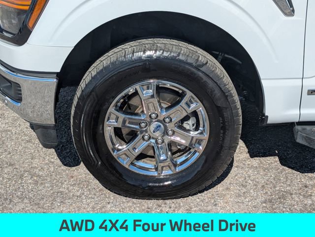 Used 2024 Ford F150 XLT w/ Equipment Group 302A MID image 12